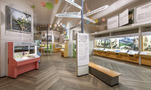Bild 1 - Museum Mensch und Natur & BIOTOPIA Lab - © MMN Bild 1 - Museum Mensch und Natur & BIOTOPIA Lab - © MMN