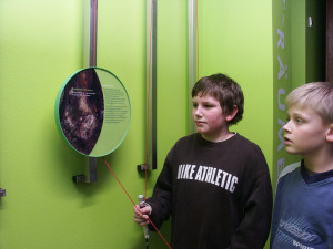 Bild 6 - Fledermaus-Zentrum - Bild 6 - Fledermaus-Zentrum -