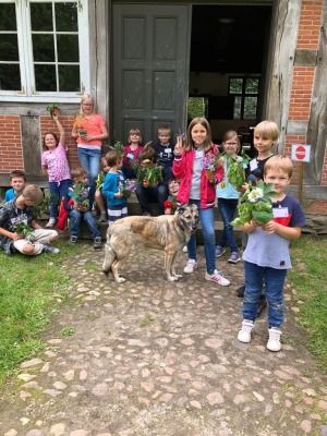 Bild 7 - Museumsdorf Cloppenburg Niedersächsisches Freilichtmuseum - Bild 7 - Museumsdorf Cloppenburg Niedersächsisches Freilichtmuseum -