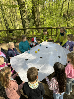 Bild 4 - Sauerlandpark Hemer WissensWert Natur - Bild 4 - Sauerlandpark Hemer WissensWert Natur -