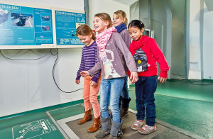 Bild 5 - Museum der Westlausitz - Elementarium - © Morgenstern