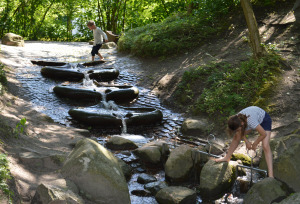 Bild 7 - Natur- und Erlebnispark Bremervörde GmbH - Spiellandschaften: Es darf gerutscht, gehangelt, gespielt und getobt werden. Bild 7 - Natur- und Erlebnispark Bremervörde GmbH - Spiellandschaften: Es darf gerutscht, gehangelt, gespielt und getobt werden.