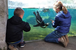 Bild 6 - Zoo am Meer Bremerhaven - 