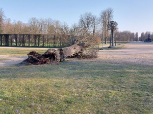 Bild 2 - Park Sanssouci - © SPSG Bild 2 - Park Sanssouci - © SPSG