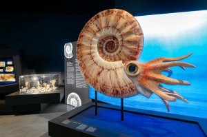 Bild 3 - LWL-Museum für Naturkunde - © LWL, Steinweg Bild 3 - LWL-Museum für Naturkunde - © LWL, Steinweg