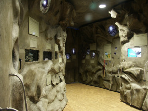 Bild 3 - Fledermaus-Zentrum - Bild 3 - Fledermaus-Zentrum -