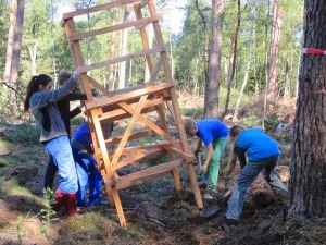 Bild 5 - Waldpädagogikzentrum Ostheide - Bild 5 - Waldpädagogikzentrum Ostheide -