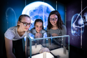Bild 4 - LWL-Museum für Archäologie und Kultur - © LWL-Christoph Kniel Bild 4 - LWL-Museum für Archäologie und Kultur - © LWL-Christoph Kniel