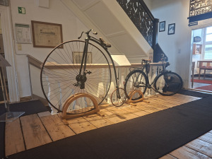 Bild 3 - Historisches Museum Domherrenhaus - 