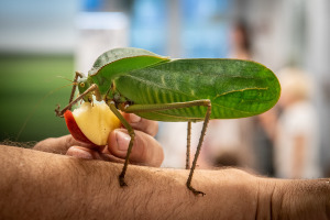 Bild 7 - Museum Mensch und Natur & BIOTOPIA Lab - © Andreas Heddergott Bild 7 - Museum Mensch und Natur & BIOTOPIA Lab - © Andreas Heddergott