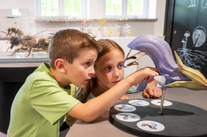 Bild 6 - Museum Mensch und Natur & BIOTOPIA Lab - © Astrid Eckert Bild 6 - Museum Mensch und Natur & BIOTOPIA Lab - © Astrid Eckert