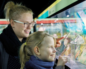 Bild 7 - Museum der Westlausitz - Elementarium - © Morgenstern