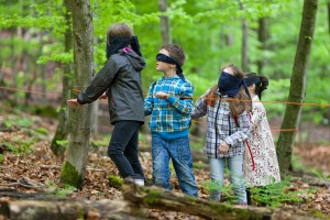 Bild 5 - Niedersächsische Landesforsten - Waldpädagogikzentrum Harz - Bild 5 - Niedersächsische Landesforsten - Waldpädagogikzentrum Harz -