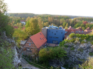 Bild 2 - Fledermaus-Zentrum - Bild 2 - Fledermaus-Zentrum -