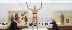 Bild 7 - Deutsches Hygiene-Museum - Bild 7 - Deutsches Hygiene-Museum -