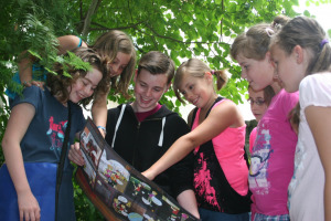 Bild 3 - Museum der Westlausitz - Elementarium - 
