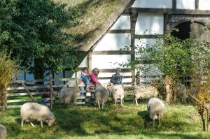 Bild 1 - Museumsdorf Cloppenburg Niedersächsisches Freilichtmuseum - Bild 1 - Museumsdorf Cloppenburg Niedersächsisches Freilichtmuseum -