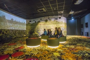Bild 2 - Europäisches Fachzentrum Moor und Klima - Der Filmraum in der MOORWELTEN-Ausstellung © Remigius Konietzny