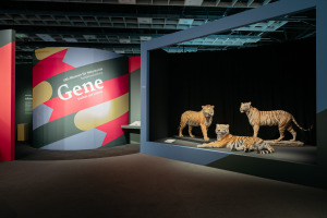 Bild 1 - LWL-Museum für Naturkunde - © LWL, Steinweg Bild 1 - LWL-Museum für Naturkunde - © LWL, Steinweg